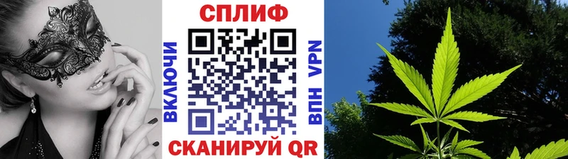 Купить где  Лесозаводск  Канабис MAZAR 